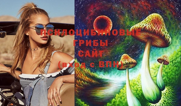 дмт Бутурлиновка