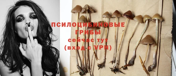 прущие крисы Гусев