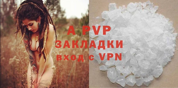 прущие крисы Гусев