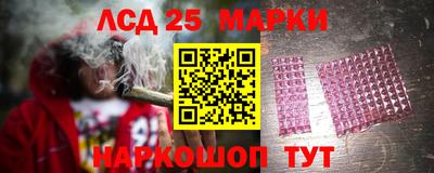 гидра Краснодар