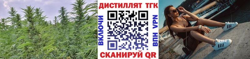 где продают   Ивантеевка  ТГК THC oil 