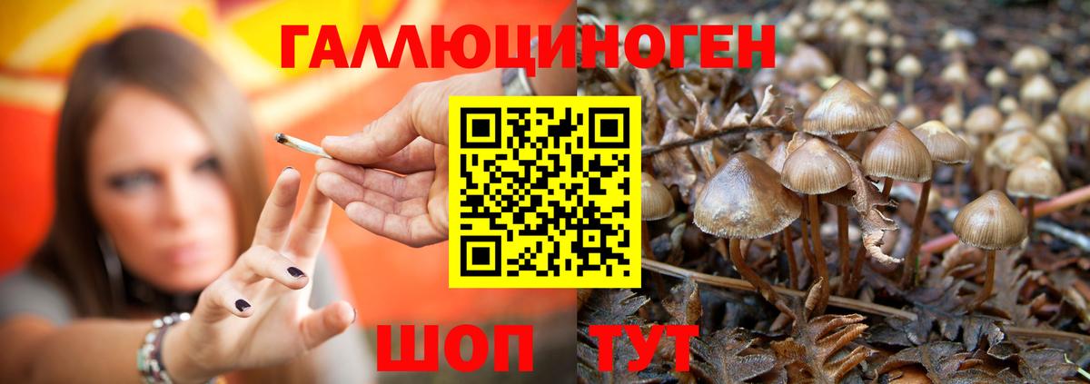Ивантеевка  Псилоцибиновые грибы мухоморы  Вход с VPN 